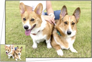 Photo enlargement directory art sample